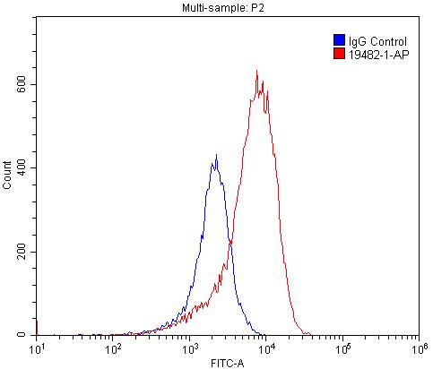 19482-1-AP;PC-3 cells