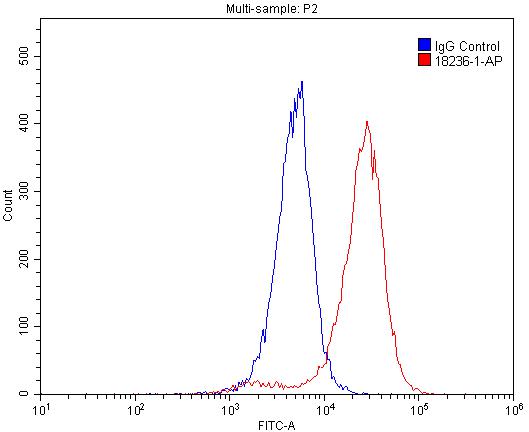 18236-1-AP;A549 cells