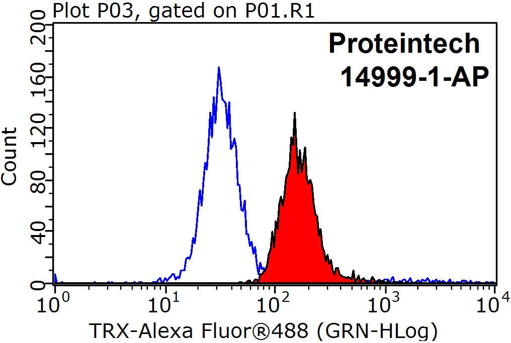 14999-1-AP;HeLa cells