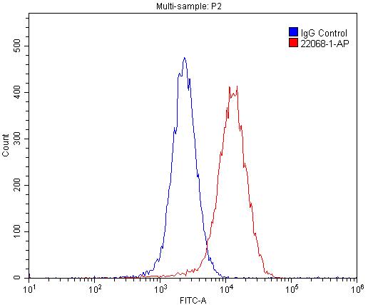 22068-1-AP;MCF-7 cells