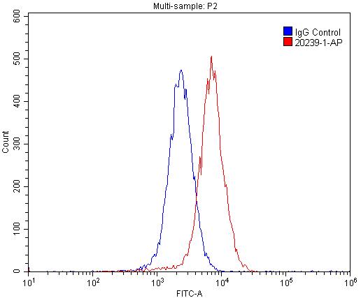 20239-1-AP;MCF-7 cells