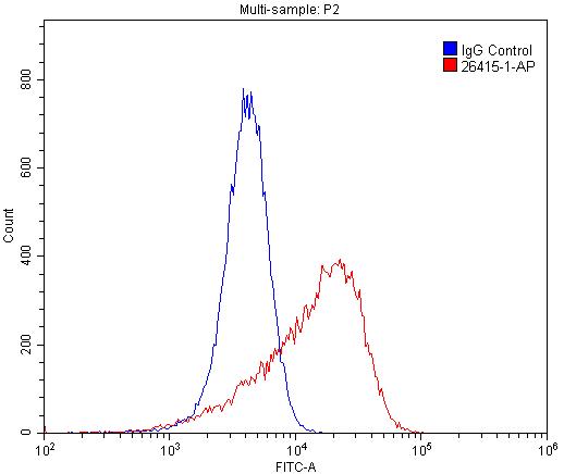 26415-1-AP;HUVEC cells