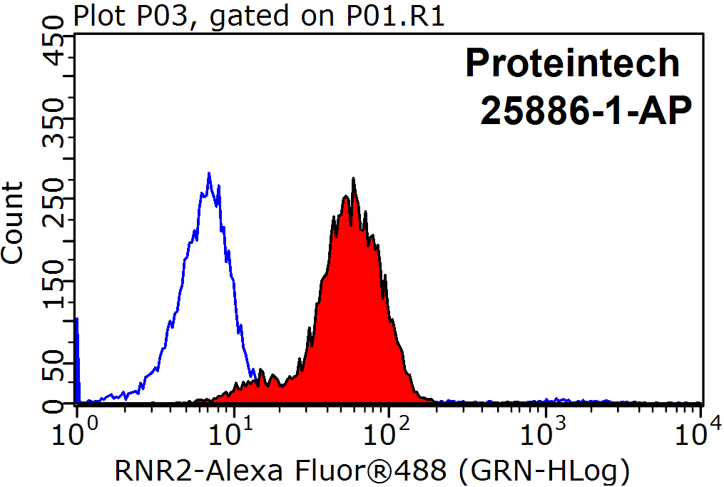 25886-1-AP;SH-SY5Y cells