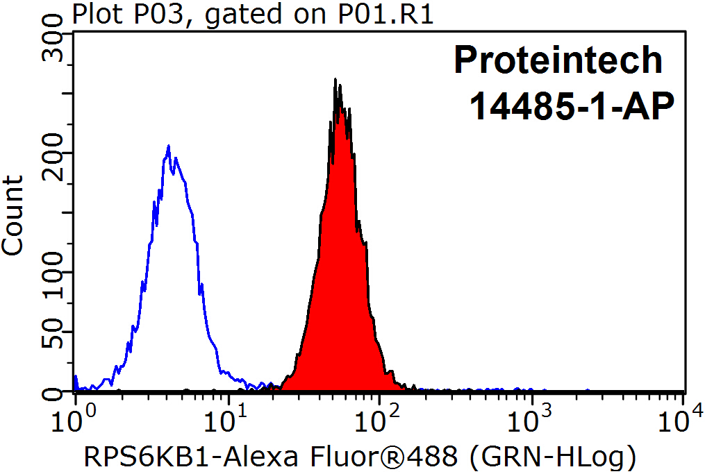 14485-1-AP;HepG2 cells