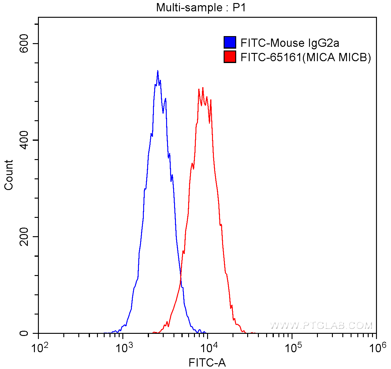 MICA/MICB Antibody FITC-65161 | Proteintech