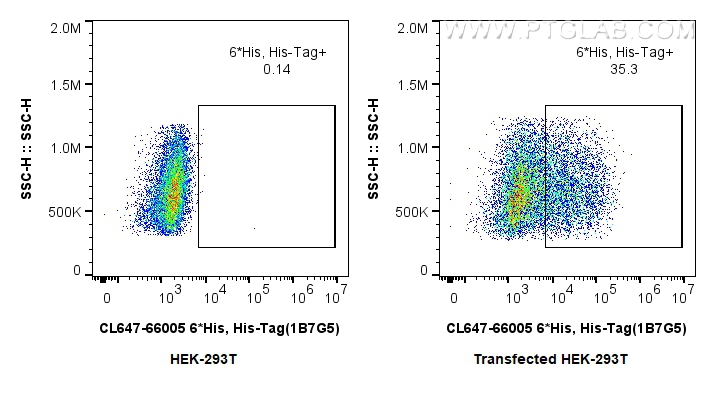 FC experiment of Transfected HEK-293 using CL647-66005