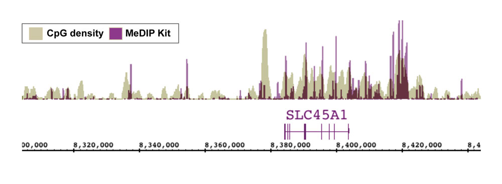 Next-Gen sequencing data generated using Active Motif’s MeDIP kit correlates well with CpG density