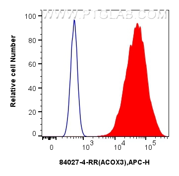 FC experiment of A431 using 84027-4-RR