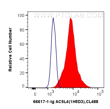 FC experiment of HEK-293T using 66617-1-Ig (same clone as 66617-1-PBS)