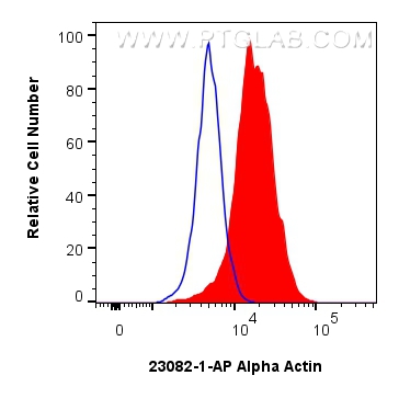 FC experiment of C2C12 using 23082-1-AP