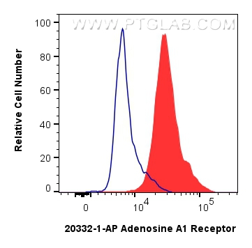 FC experiment of SH-SY5Y using 20332-1-AP