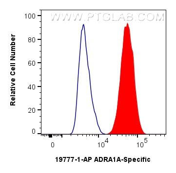 FC experiment of HepG2 using 19777-1-AP