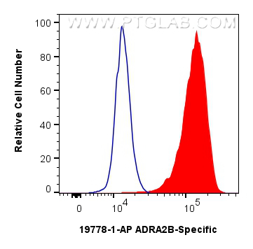 FC experiment of HEK-293 using 19778-1-AP