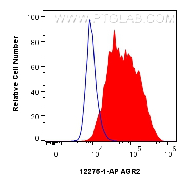 FC experiment of A549 using 12275-1-AP