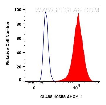 FC experiment of HeLa using CL488-10658