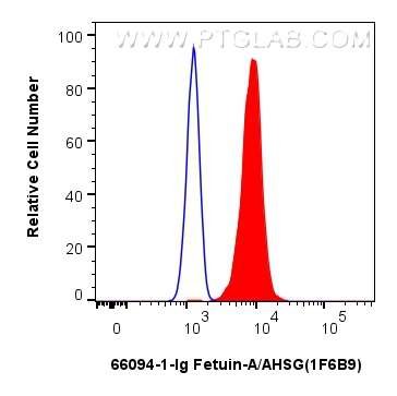 FC experiment of HepG2 using 66094-1-Ig