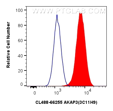 FC experiment of Jurkat using CL488-66255