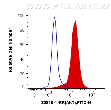 FC experiment of Jurkat using 80816-1-RR (same clone as 80816-1-PBS)