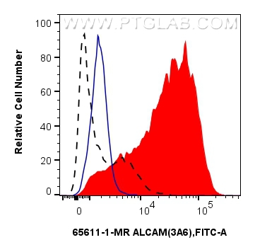 FC experiment of human PBMCs using 65611-1-MR