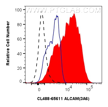 ALCAM