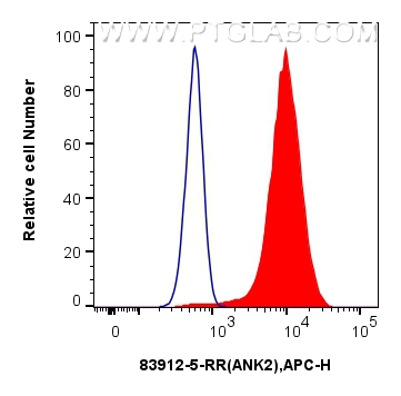 FC experiment of HEK-293 using 83912-5-RR (same clone as 83912-5-PBS)