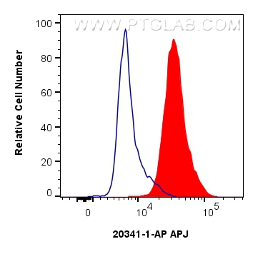 FC experiment of SH-SY5Y using 20341-1-AP