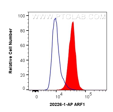 FC experiment of HeLa using 20226-1-AP