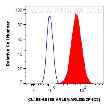 FC experiment of C6 using CL488-68186