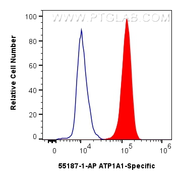 FC experiment of HEK-293 using 55187-1-AP