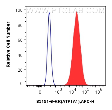 ATP1A1