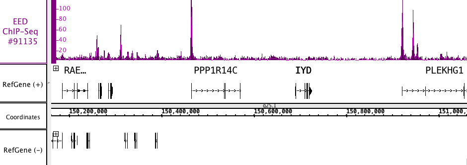 AbFlex EED Antibody (rAb) tested by ChIP-Seq. ChIP was performed using the ChIP-IT High Sensitivity Kit (Cat. No. 53040) with 30 ug chromatin from an acute large B-cell lymphoma cell line and 4 ug of EED antibody. ChIP DNA was sequenced on the Illumina HiSeq and 25 million sequence tags were mapped to identify EED binding sites. The image shows binding across a region of chromosome 6.