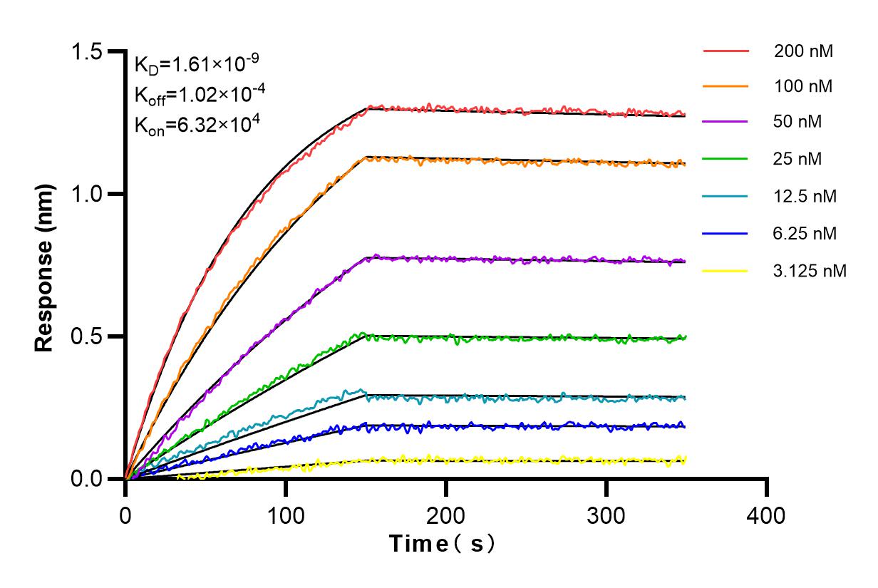 Affinity and Kinetic Characterization of 80297-1-RR