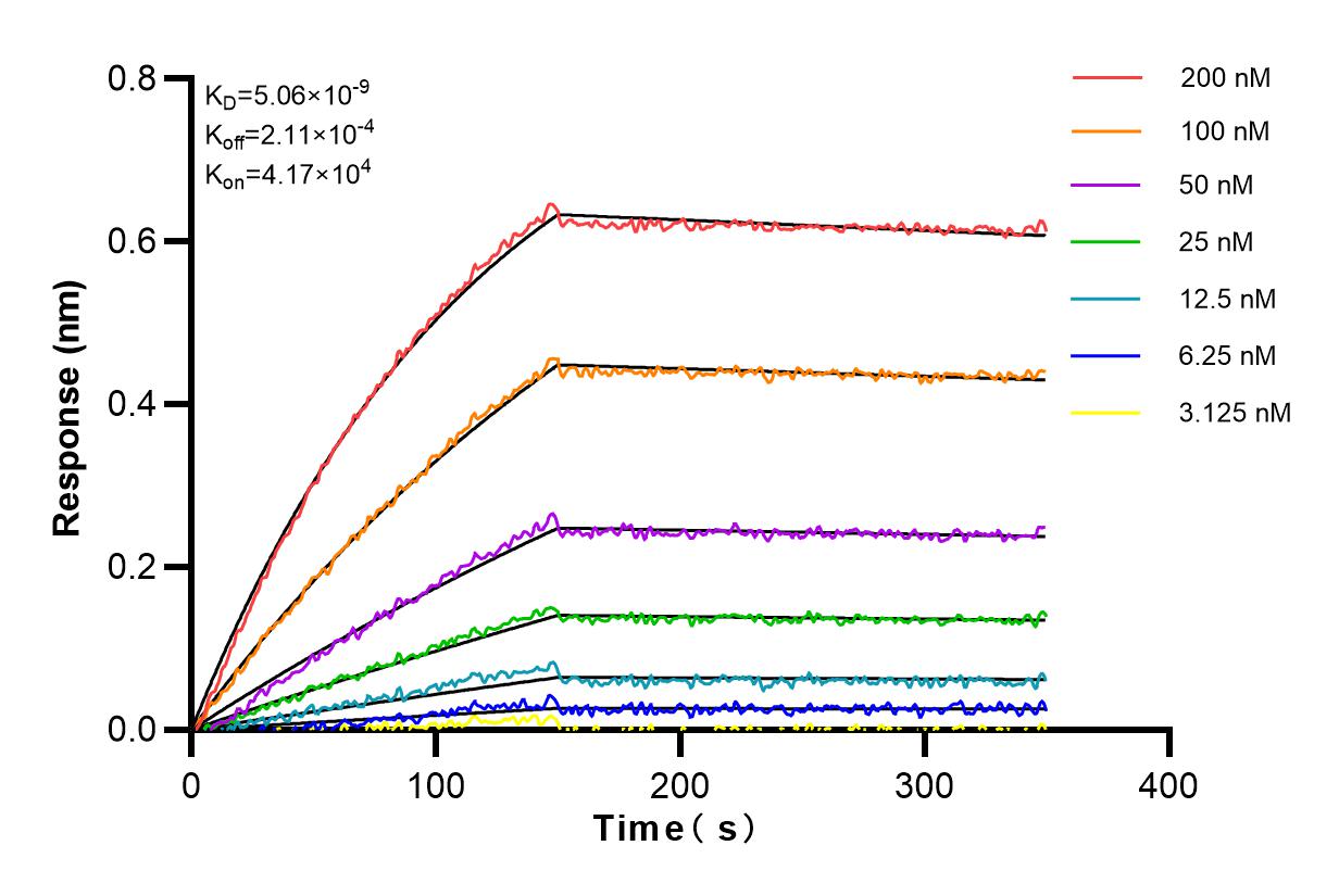 Affinity and Kinetic Characterization of 80313-1-PBS