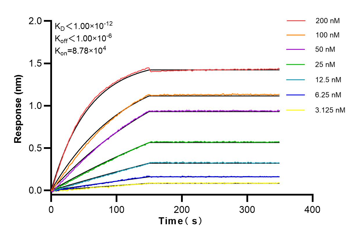 Affinity and Kinetic Characterization of 80362-3-RR