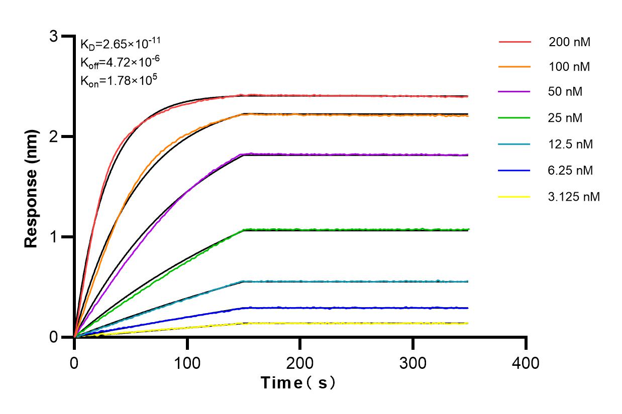 Affinity and Kinetic Characterization of 80545-1-PBS