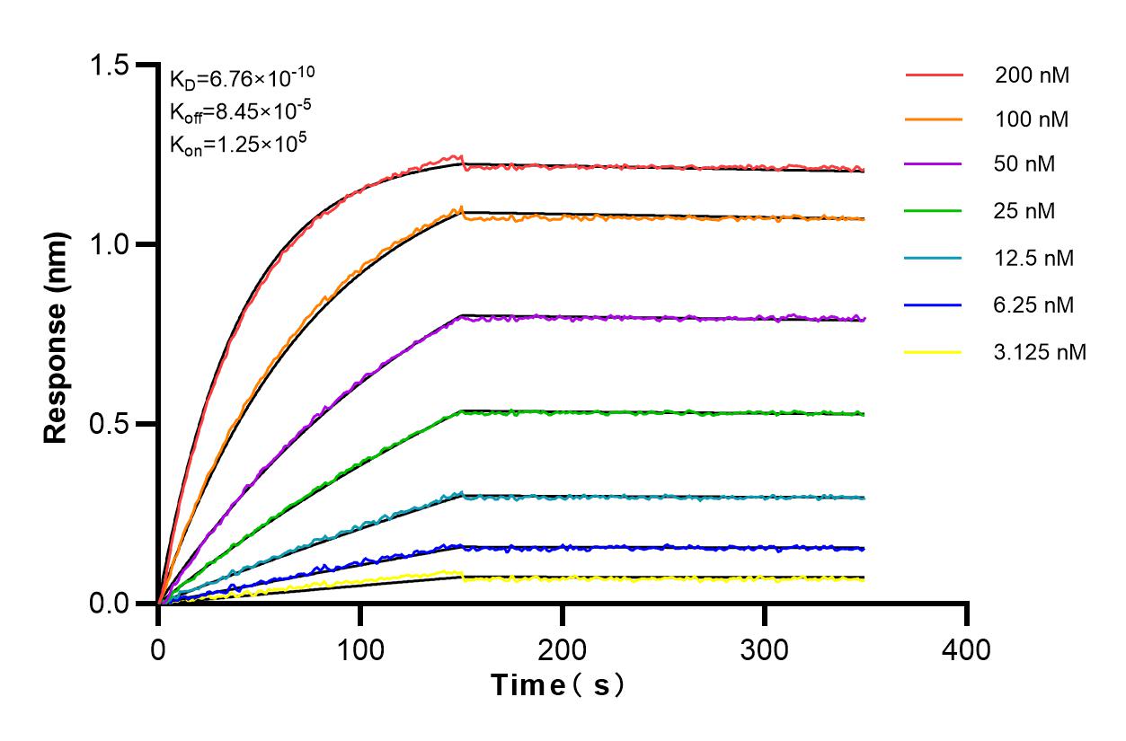 Affinity and Kinetic Characterization of 80751-1-PBS