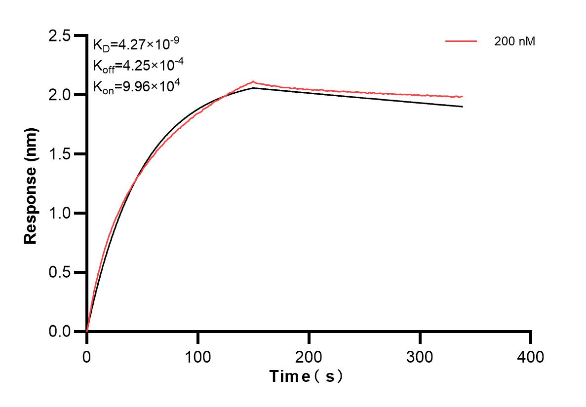 Affinity and Kinetic Characterization of 80821-5-PBS