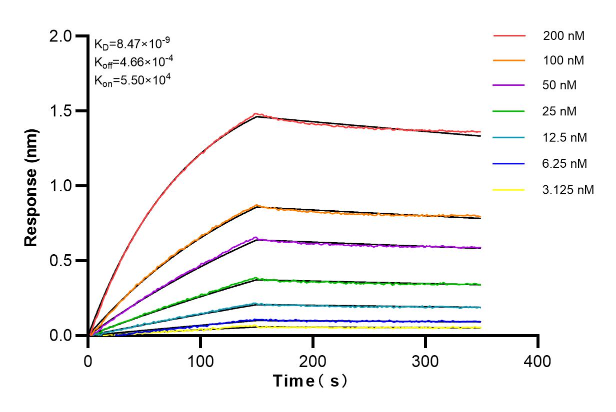 Affinity and Kinetic Characterization of 80867-1-RR