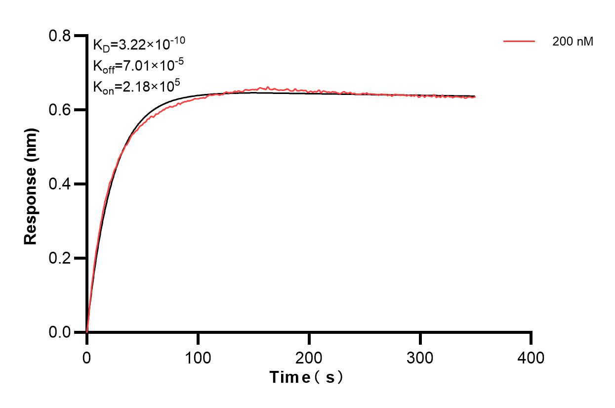 Affinity and Kinetic Characterization of 80924-3-PBS