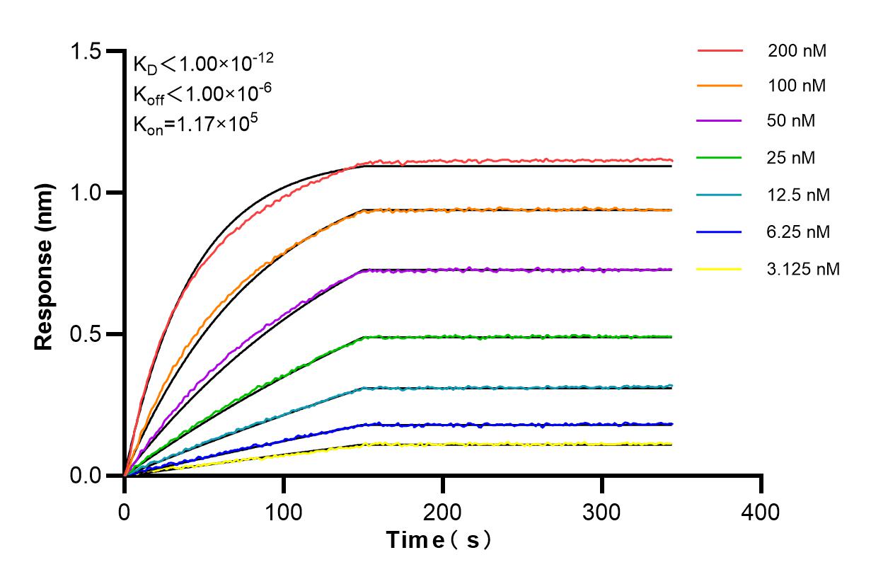 Affinity and Kinetic Characterization of 80965-5-RR