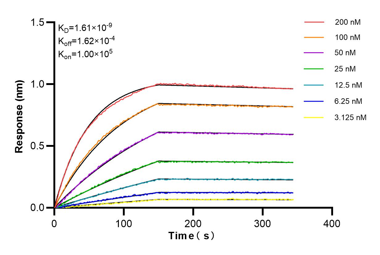 Affinity and Kinetic Characterization of 80965-6-RR