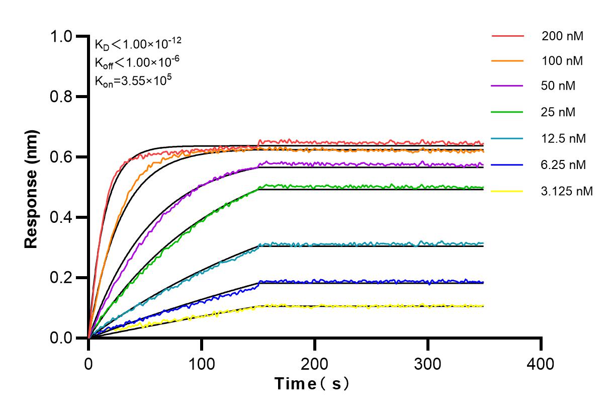 Affinity and Kinetic Characterization of 81584-4-RR