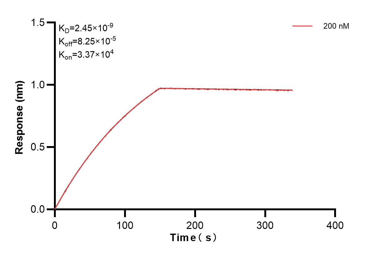 Affinity and Kinetic Characterization of 81615-1-PBS