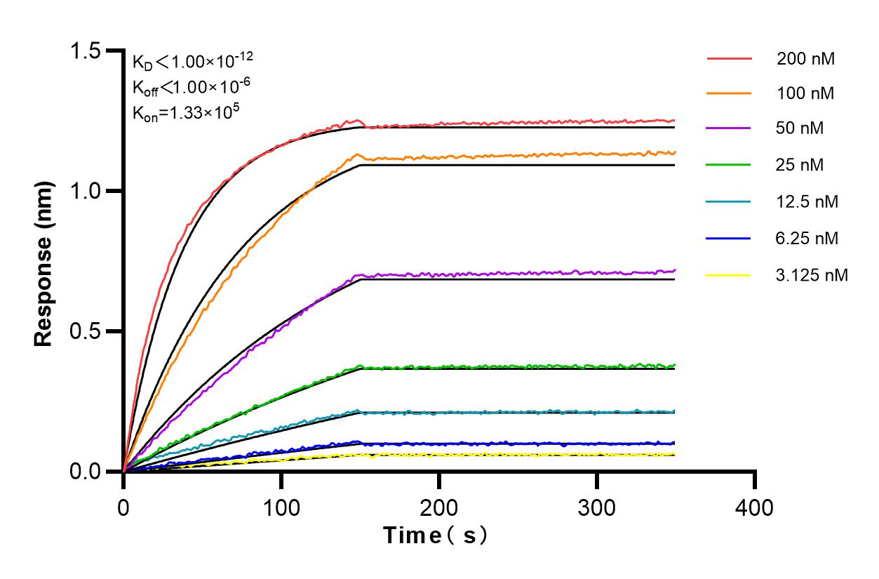 Affinity experiments of 81670-1-RR