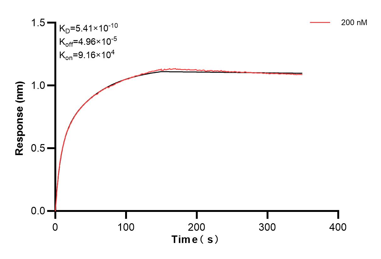 Affinity and Kinetic Characterization of 81750-1-PBS