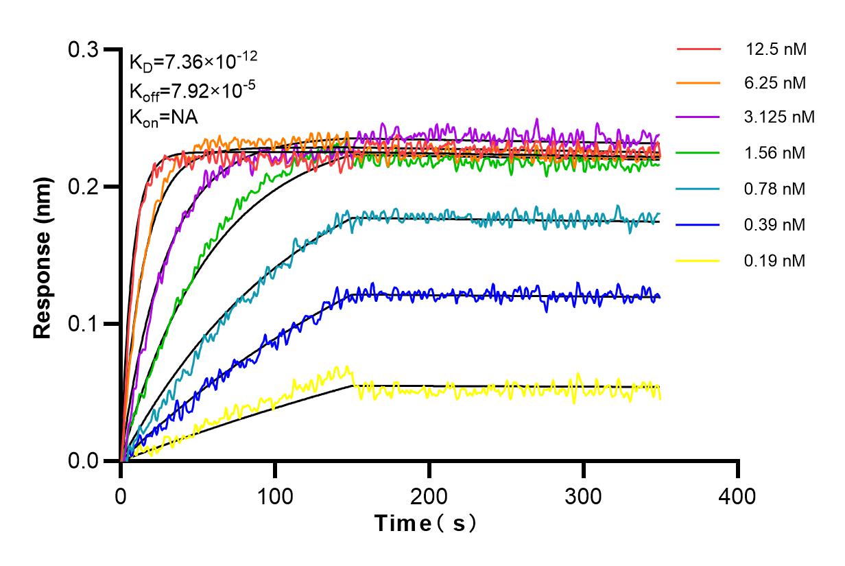 Affinity and Kinetic Characterization of 82061-1-RR