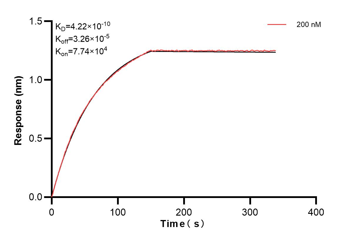 Affinity and Kinetic Characterization of 82080-3-PBS