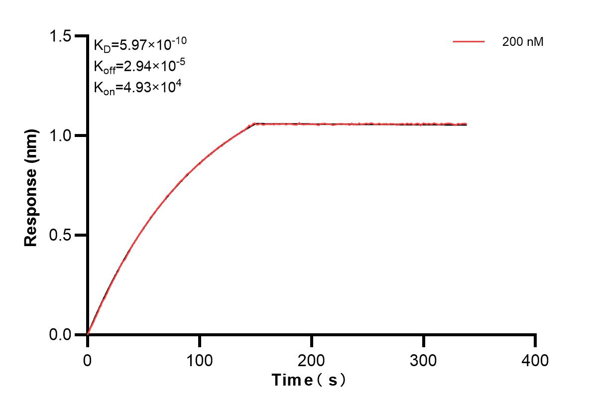 Affinity and Kinetic Characterization of 82080-5-PBS