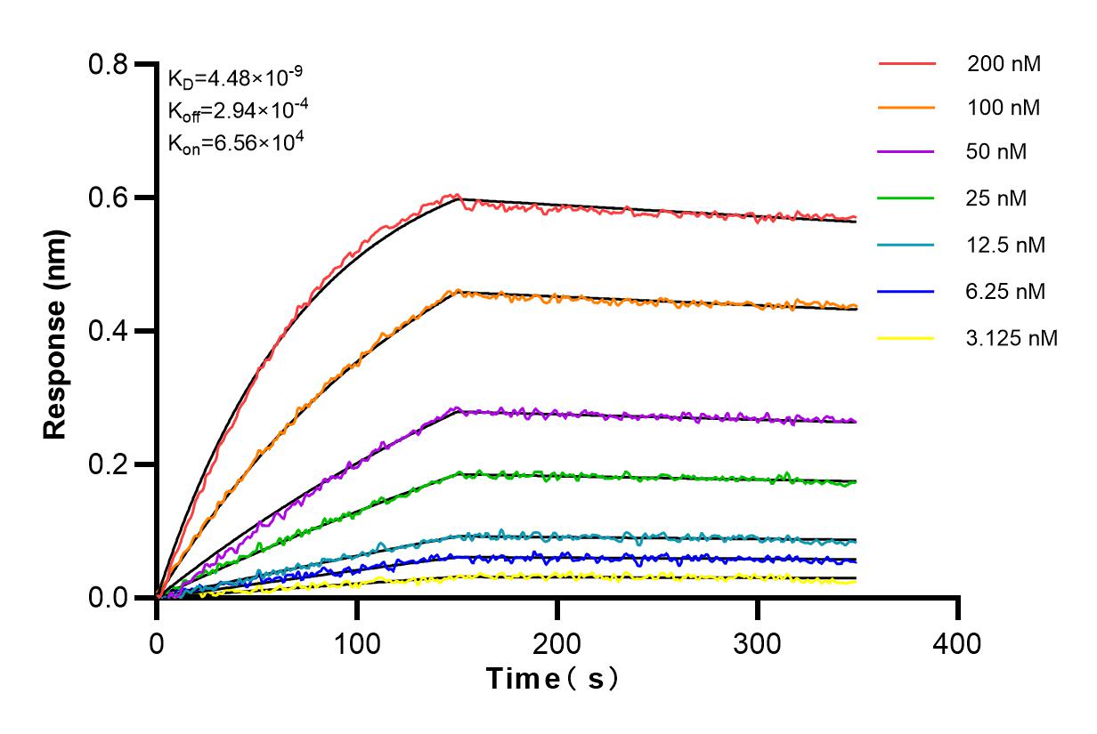 Affinity and Kinetic Characterization of 82121-1-PBS