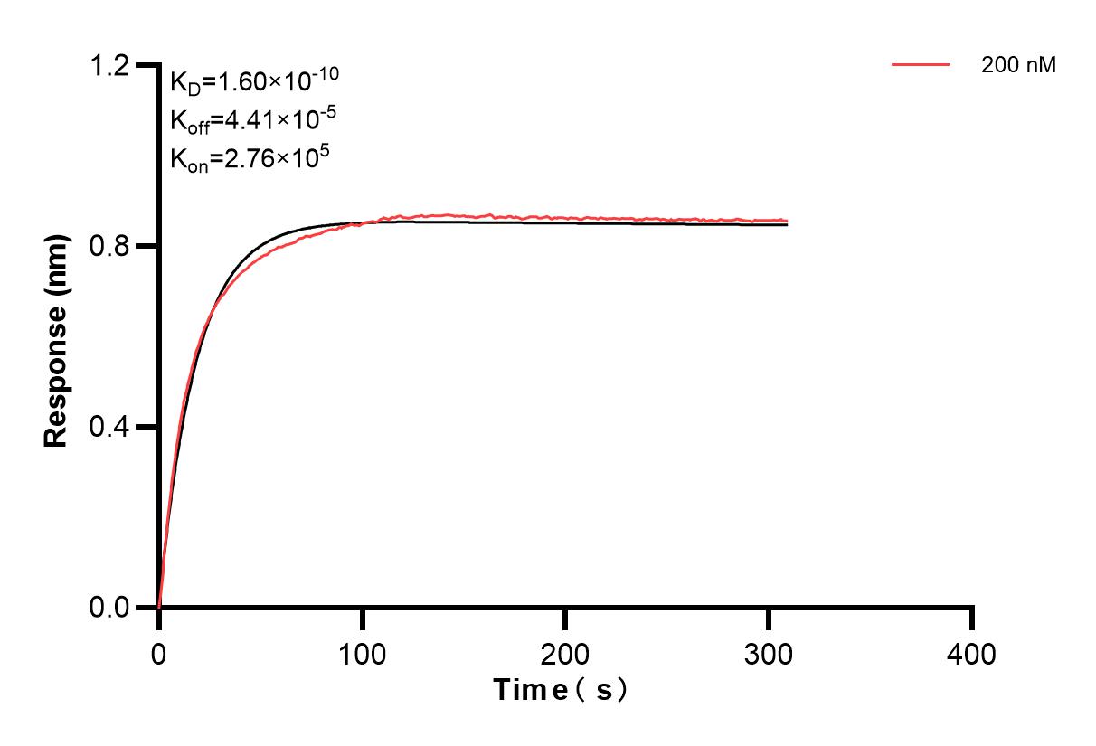 Affinity and Kinetic Characterization of 82188-3-PBS